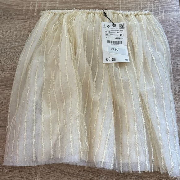 Zara Other - Zara Skirt